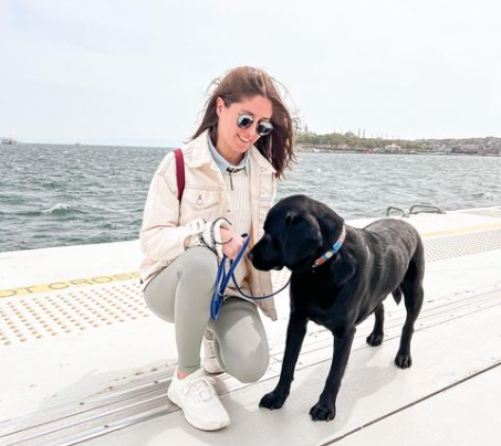 Labrador köpek ve annesi