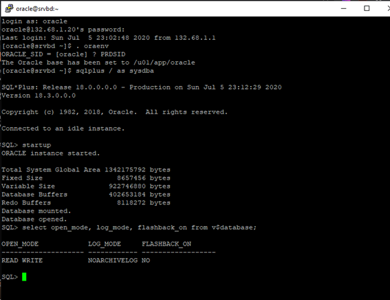 FlashBack DataBase (Definición e Implementación) | by Francisco H ...