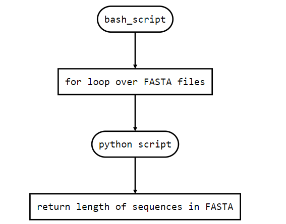 Python via bash: argument passing through CLI