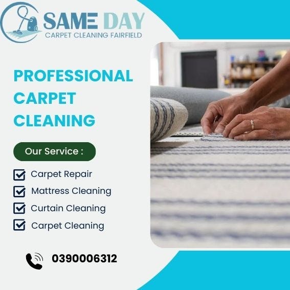 DIY vs. Professional Carpet Cleaning Making the Right Choice in