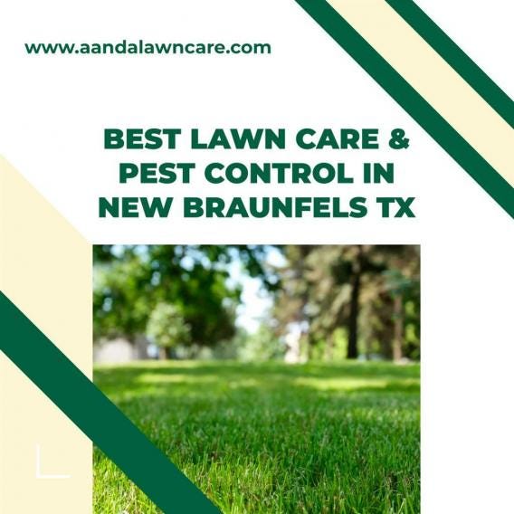 Pest Control And Lawn Service A&A Lawncare Medium