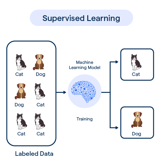 What is ‘Learning’ in Machine Learning? | by Samiran Pal | FAQK like ...