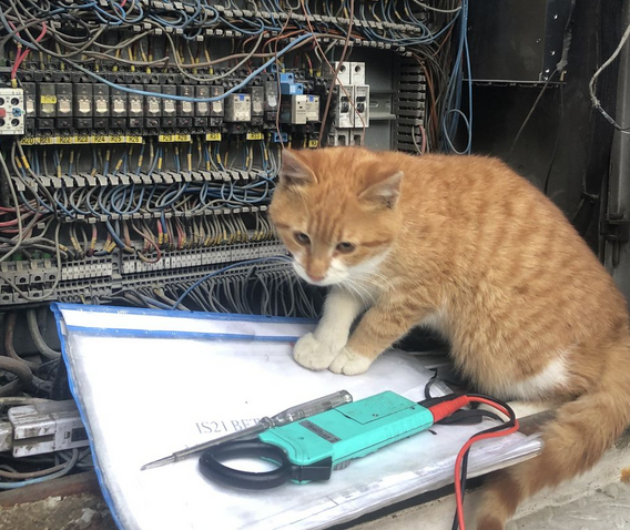 Netcat: The Swiss Army Knife of Networking