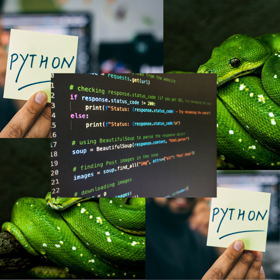 Simple Python Band Name Generator | by Bjorn Nielsen | Medium