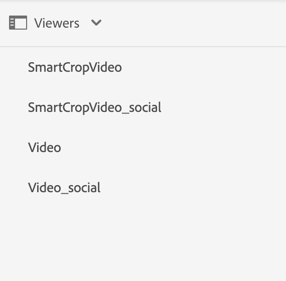 Fig: viewers for the dynamic media video asset
