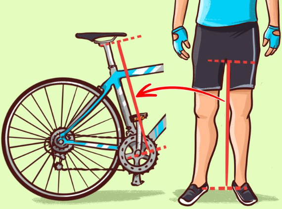 mountain bike size m