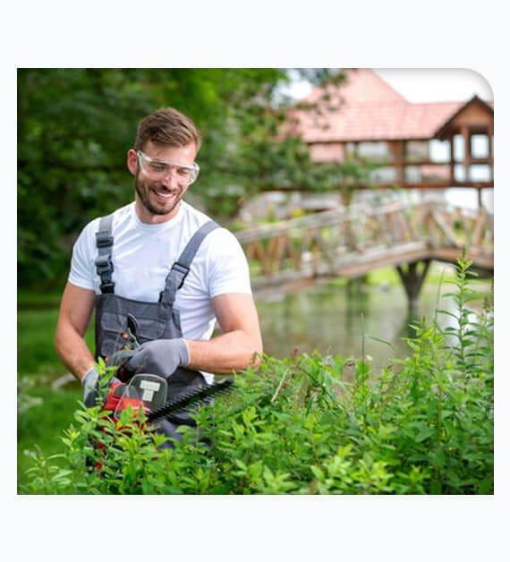 What Are The Services Provided By Pine Valley Tree Services? by tree