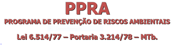 PPRA N.R 9 Programa de prevenção de riscos ambientais.