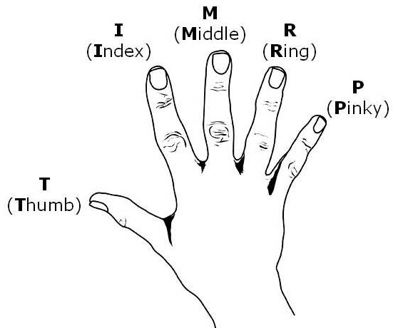 The Five Fingers of Care