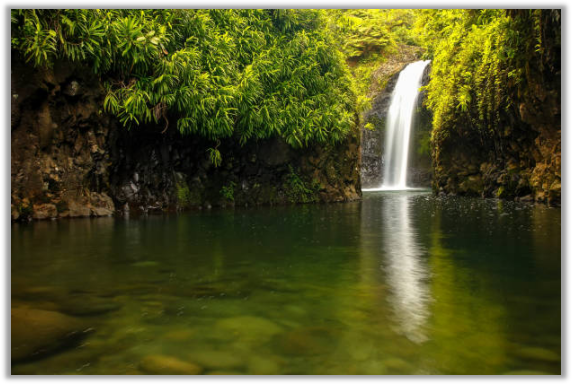 https://gofiji.net/