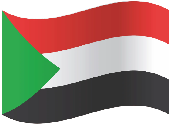 Learn Korean Through the News: Palestine Vocabulary (A2–B2)