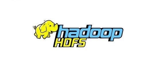 HDFS: Hadoop Distributed File System