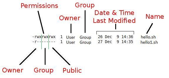 Linux Part 2: A Comprehensive Guide to Linux 🌍 | by Jagadeesh Reddy ...