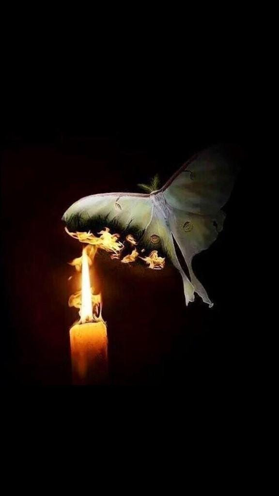 FOUR BUTTERFLIES’ STORY. Four butterflies saw a fire one day… by