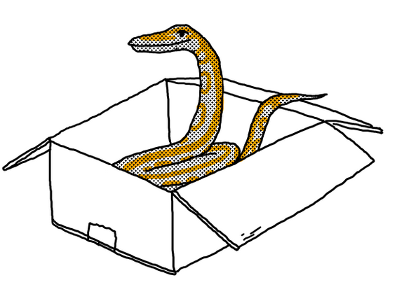 Python Packaging at PayPal | by PayPal Tech Blog Team | The PayPal ...