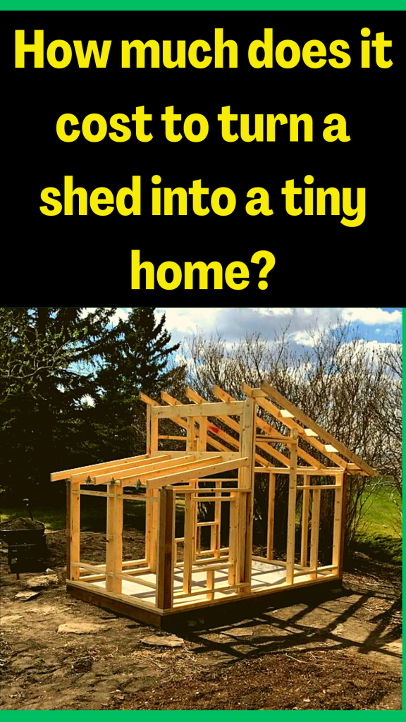 how-much-does-it-cost-to-turn-a-shed-into-a-tiny-home-by-raf1arttt