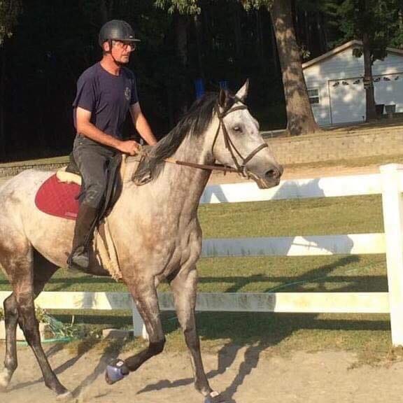 horse-fitness-program-there-are-many-fitness-programs-out-by-bora