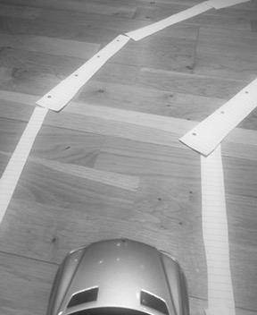 Grayscale image of the track from the car's perspective
