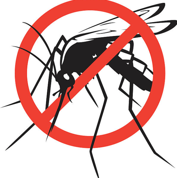 Why do mosquito bites itch and what are some home remedies that can