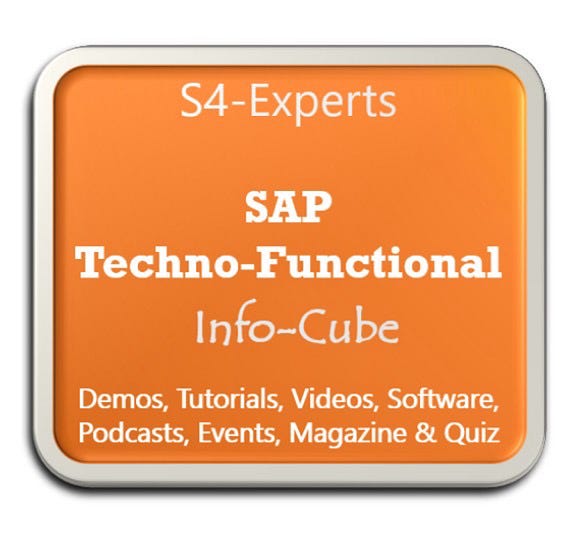SAP ABAP Techno-Functional Expertise for the Next Generation