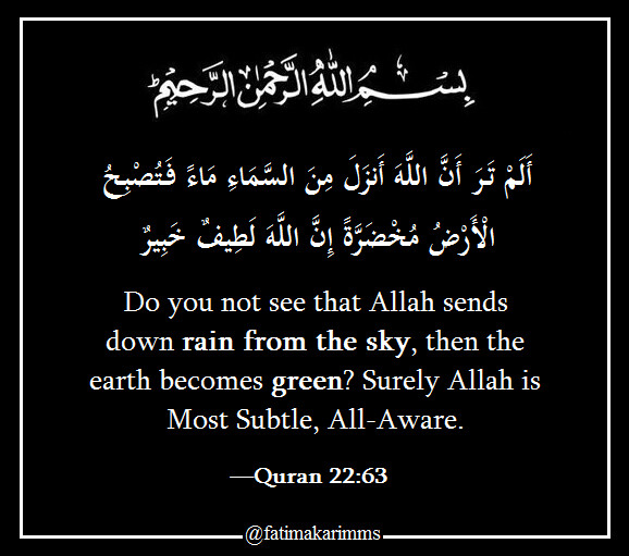 pure water. And it is Allah who sends the winds… by Fatima Karim Medium