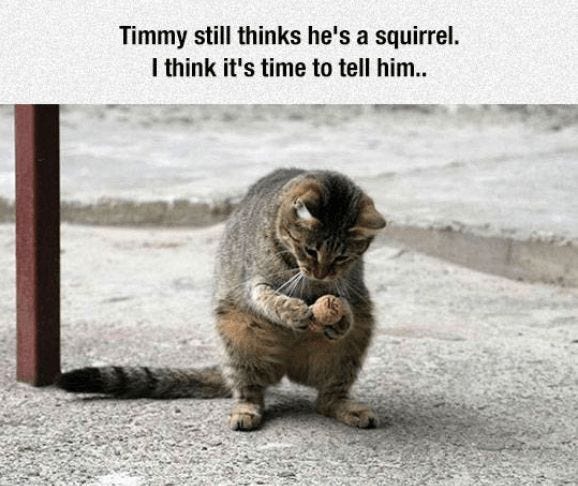 Image Credit: Pinterest