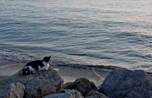 Hepimize küçükken defalarca sorulmuş bir soru var. “Ne olmak istiyorsun?”