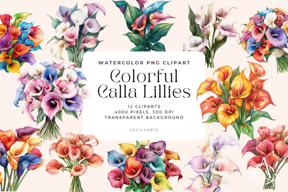 Colorful Calla Lillies Cliparts (Printable Illustrations) | by ...