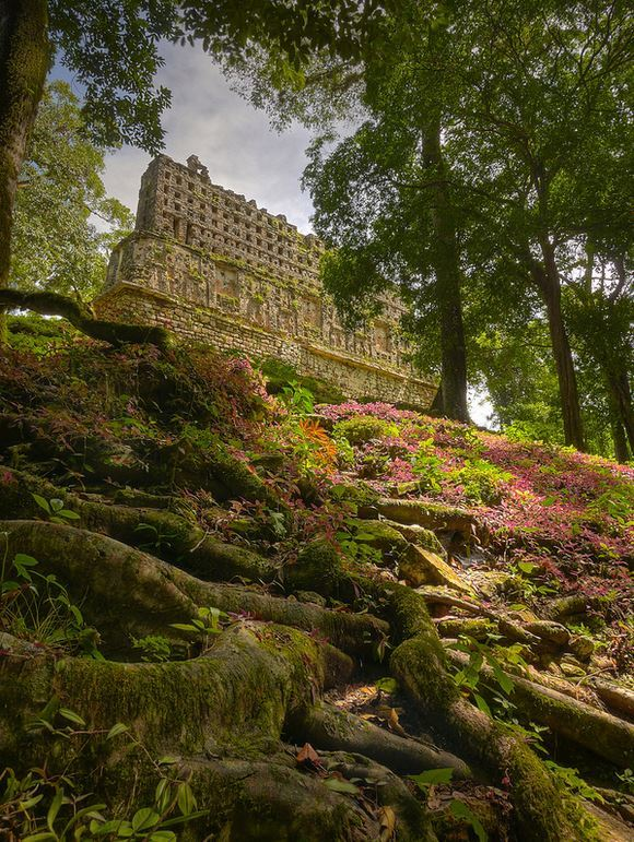 Hidden in the jungle, the mayan ruins of Yaxchilan, Chiapas / Mexico