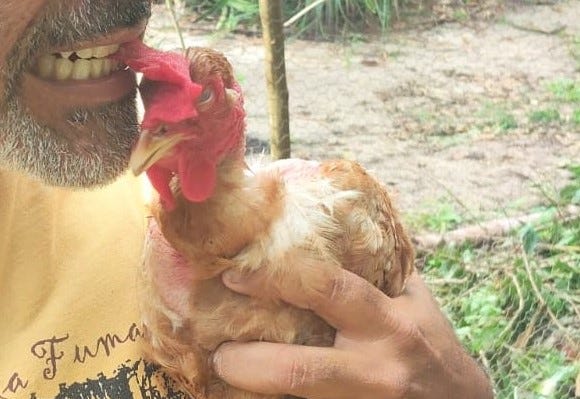 Chico Bento em: De Volta para o Futuro