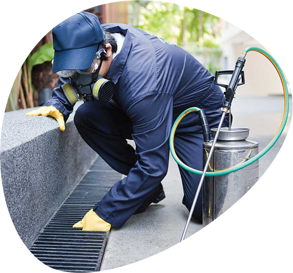 Debunking Myths A Closer Look at Commercial Pest Control in Sydney