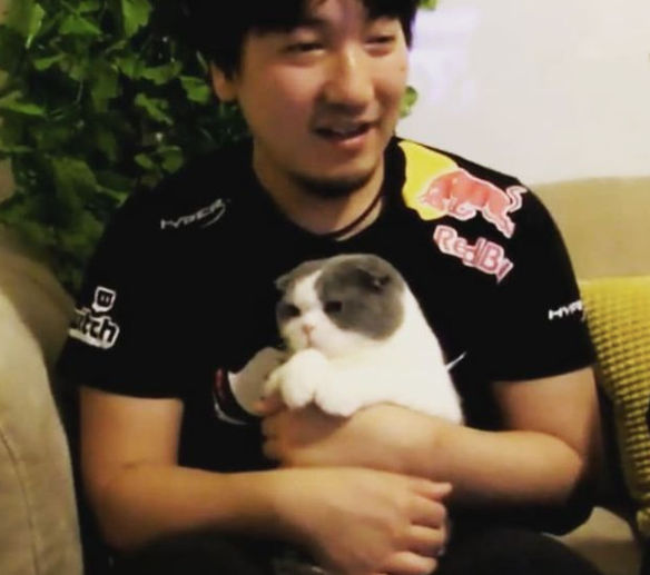 Gods of Street Fighter : Daigo Umehara