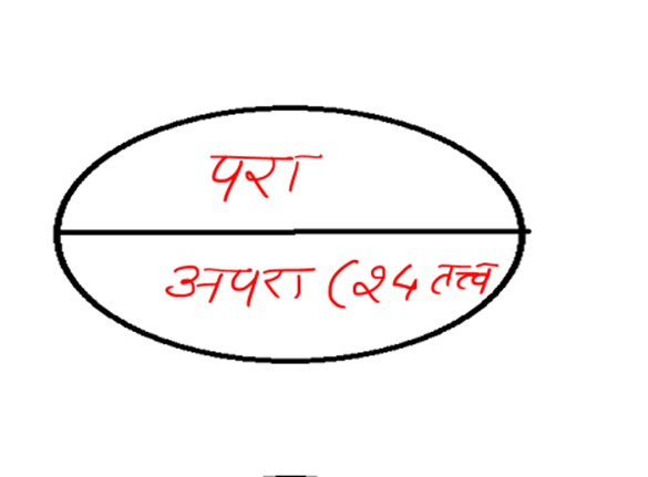 Chapter 13 — Para, Apara Nature, Living Beings, and Consciousness — An Introduction only