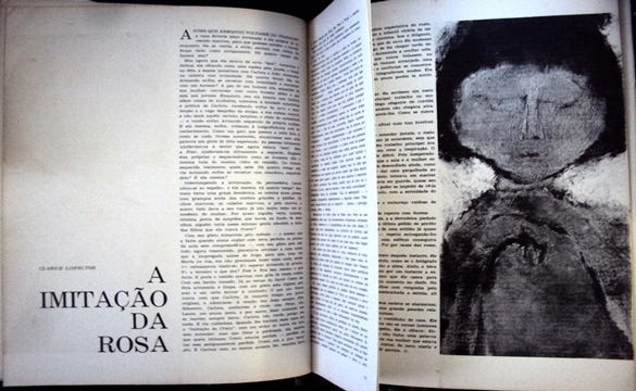 A Literariedade em “A Imitação da Rosa” | by Carolina Pereira | Medium