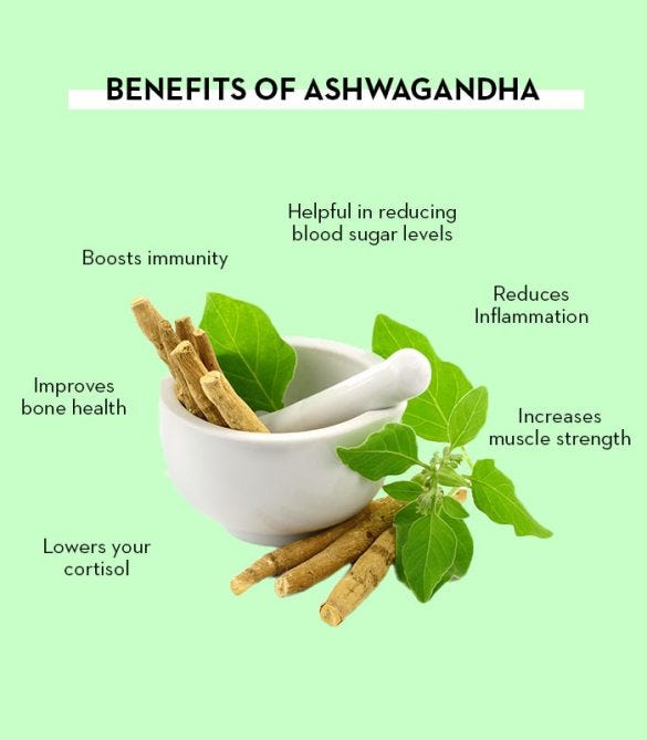 What Does Ashwagandha Do For. Introduction by Journal Guide Medium