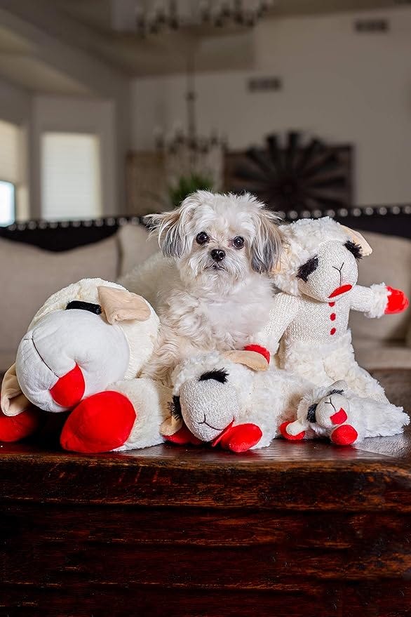 Multipet Plush Dog Toy, Lambchop, 10, White Tan, Small by