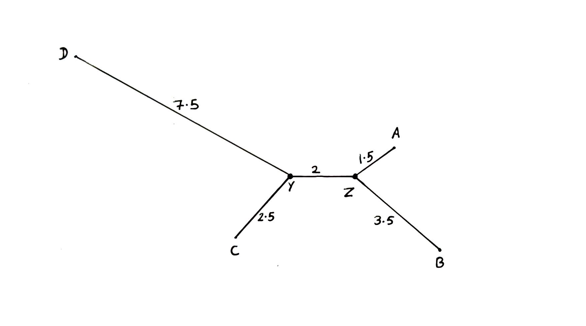 Final phylogenetic tree using NJ method