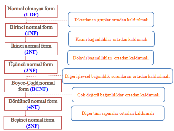 Veri Tabanı Normalizasyonu: Normal Formlar Nedir ve Neden Önemlidir?