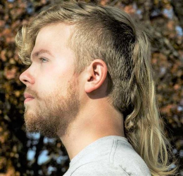 13 ways of looking at The Mullet. The story of The Mullet, the sexiest… |  by Sawyer Breiter | The Green Light | Medium