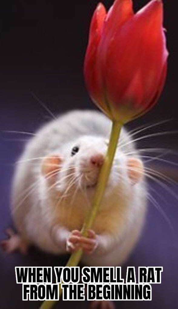 When you smell a rat from the beginning | by Treadmill Treats | Medium