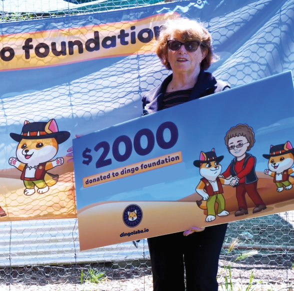 dingo nfts and dingo token coming soon dingolabs.io Medium