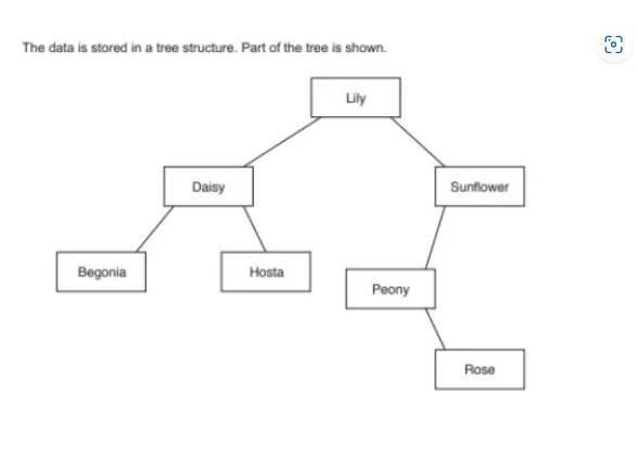 2D Arrays. 2D arrays are a neat way to represent… | by Icodewithben ...