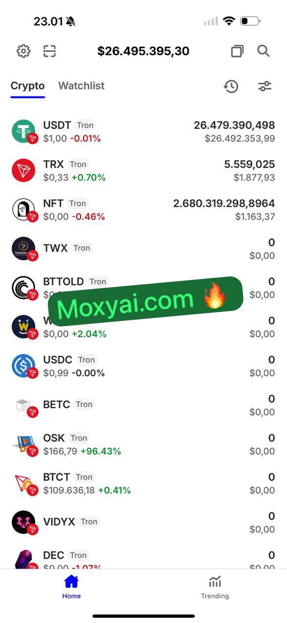 moxyai.com