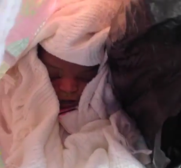 Parents abandoned baby in field after feeling no connection to her by