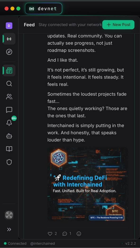 INTRODUCTION TO DEVNET : What To Expect (Part 1)
