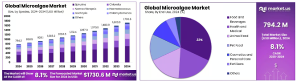 Gambar 3. Pasar Global Mikroalga (https://market.us/report/global-microalgae-market/#overview)