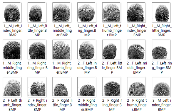 딥러닝을 활용한 문서에서 지문 찾기 섬네일