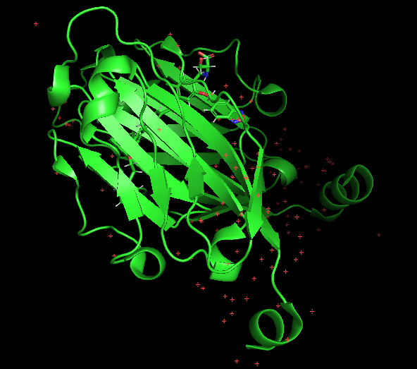 Fig 05. Crystal structure of PD-L1 complexed with small molecule inhibitor X18 viewed in the pymol main view window pane.