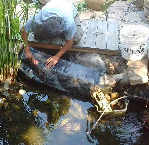 How to Repair Pond Liner: A Simple Guide | by Latoyasaum | Medium