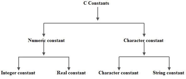 Constant in C and Types of Constant What are the constants? | by Sumant ...